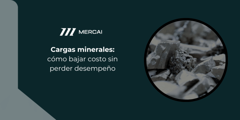 Cargas minerales